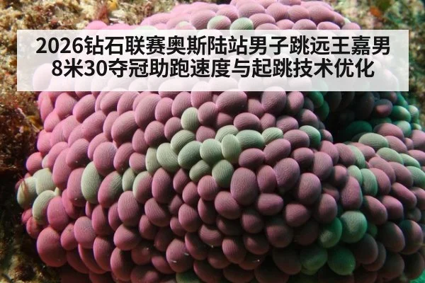 2026钻石联赛奥斯陆站男子跳远王嘉男8米30夺冠助跑速度与起跳技术优化