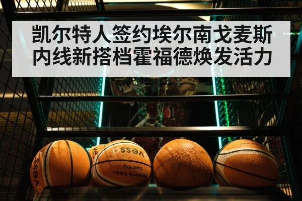 凯尔特人签约埃尔南戈麦斯 内线新搭档霍福德焕发活力