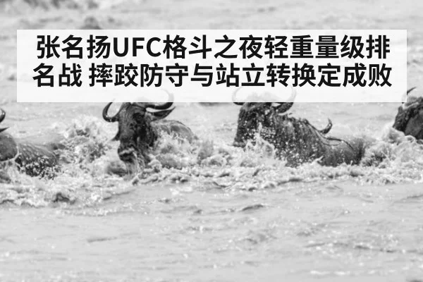 张名扬UFC格斗之夜轻重量级排名战 摔跤防守与站立转换定成败