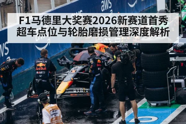 formula 1 tires pit stop