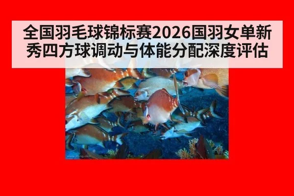 全国羽毛球锦标赛2026国羽女单新秀四方球调动与体能分配深度评估
