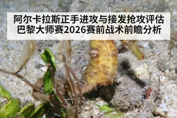 阿尔卡拉斯正手进攻与接发抢攻评估 巴黎大师赛2026赛前战术前瞻分析